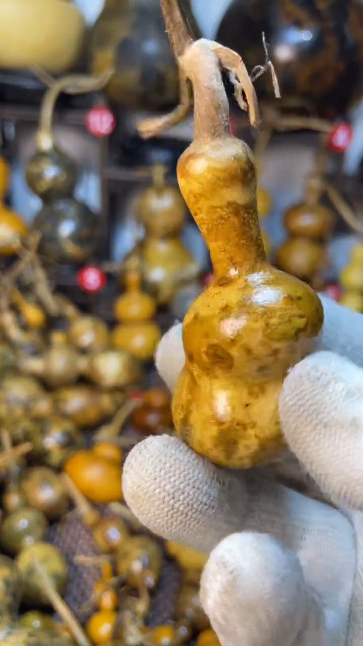 【闪购商品】葫芦葫芦葫芦葫芦葫芦