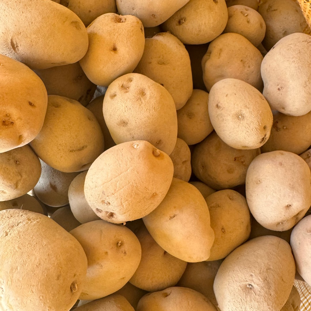 湖北恩施高山农家种植富硒马尔科黄皮黄心土豆粉糯细腻
