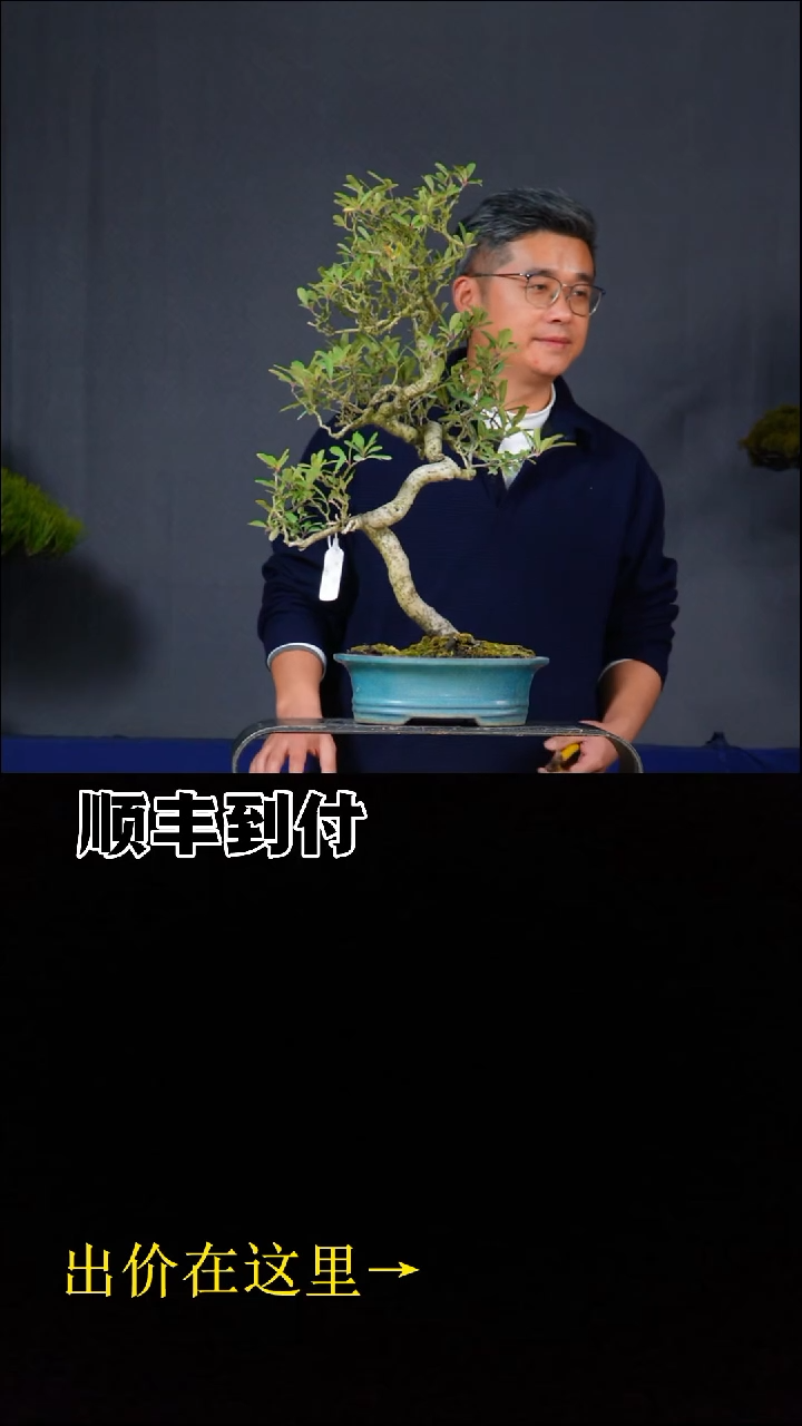 无花朵a346火棘bubaoyou