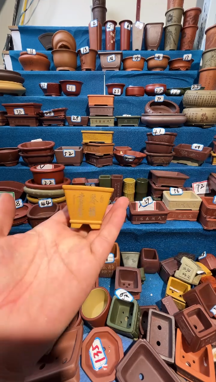 【闪购商品】紫砂紫砂花盆4*3.5