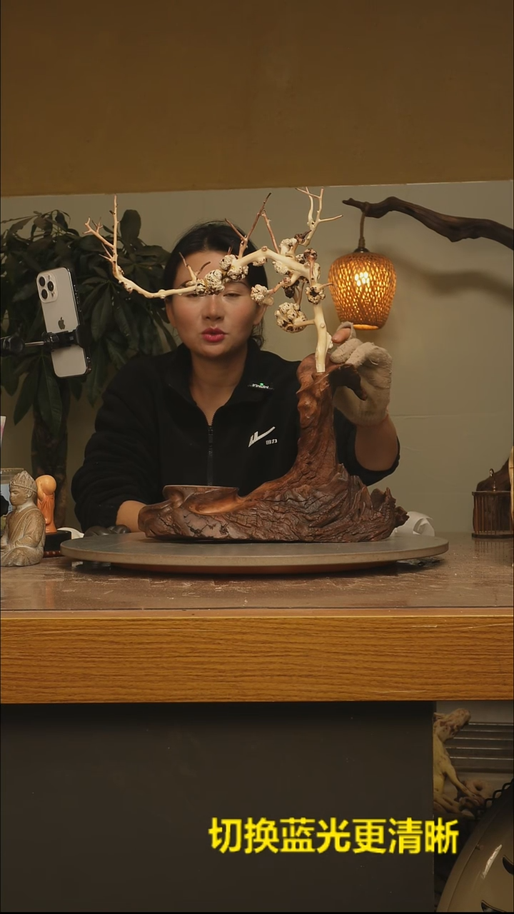 木大***`根雕摆件598