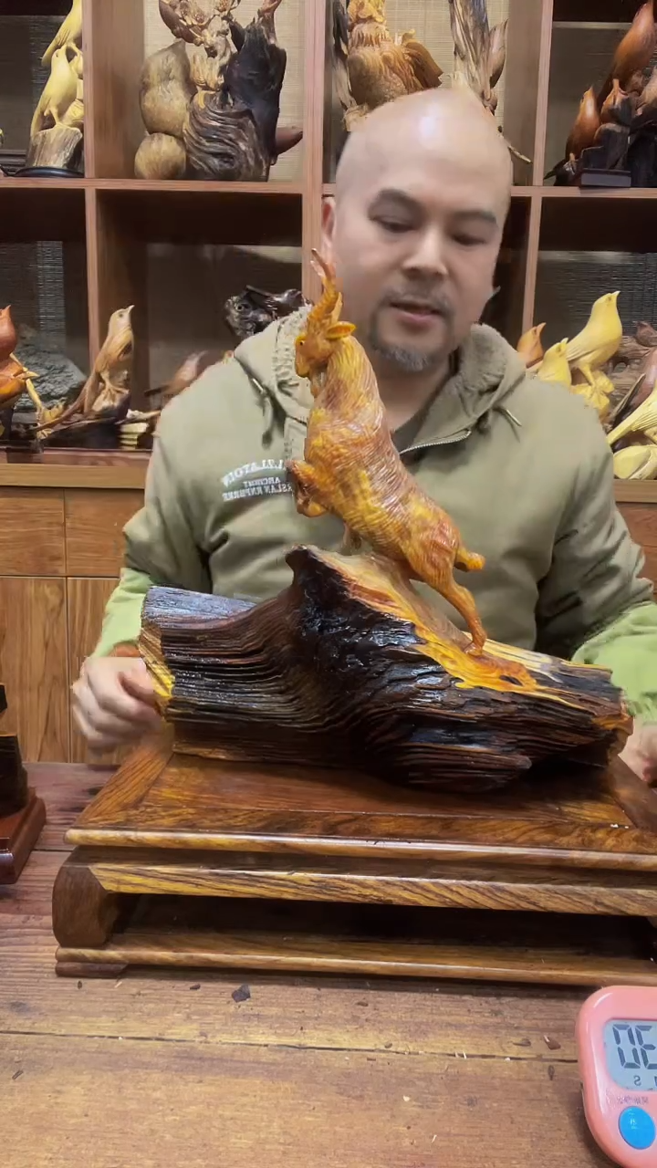 松木游*… 定向 游侠…