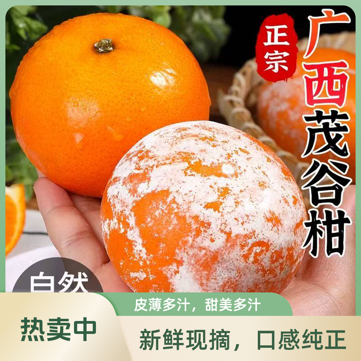 广西武鸣茂谷柑皮沃柑薄爆汁正宗顺丰包邮5斤