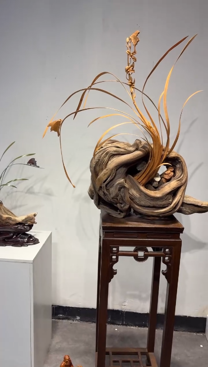 柏木（崖柏）游*波崖柏崖柏