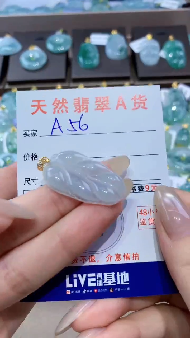 颈饰未镶嵌翡翠 天然翡翠A货挂件