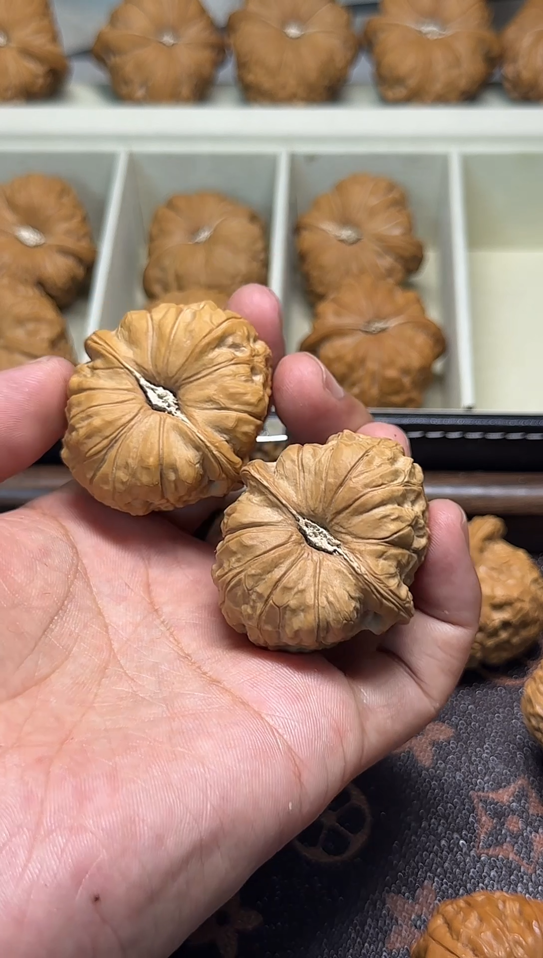 把件文玩核桃逸*缘012