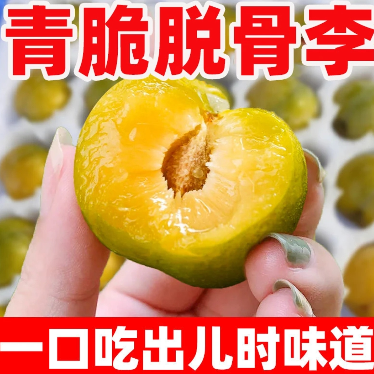 正宗青脆脱骨李新鲜应季水果脆甜多汁核小肉厚脆爽酸甜