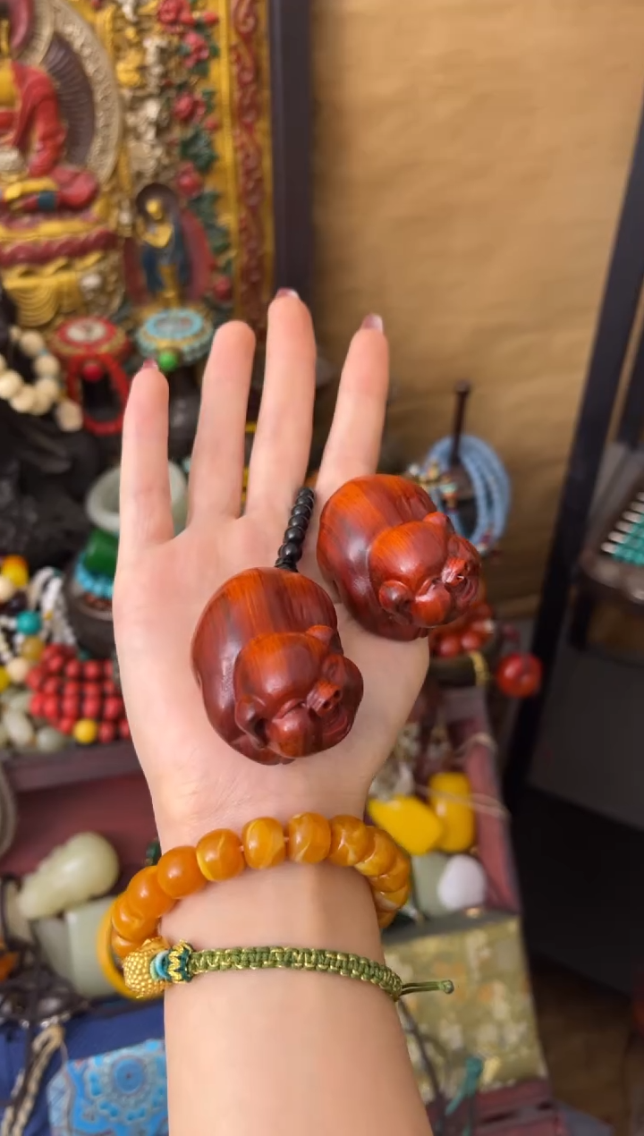 木木木木木木木木木木木木小猪