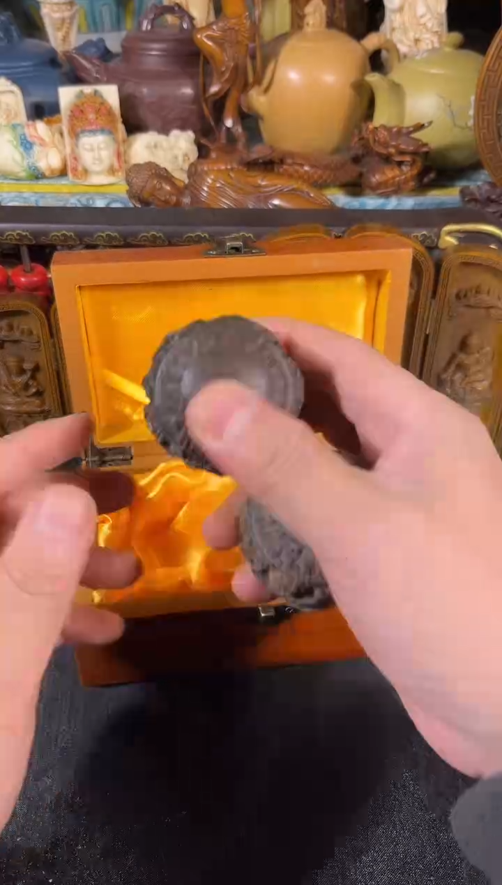 黄杨木111111111111111111