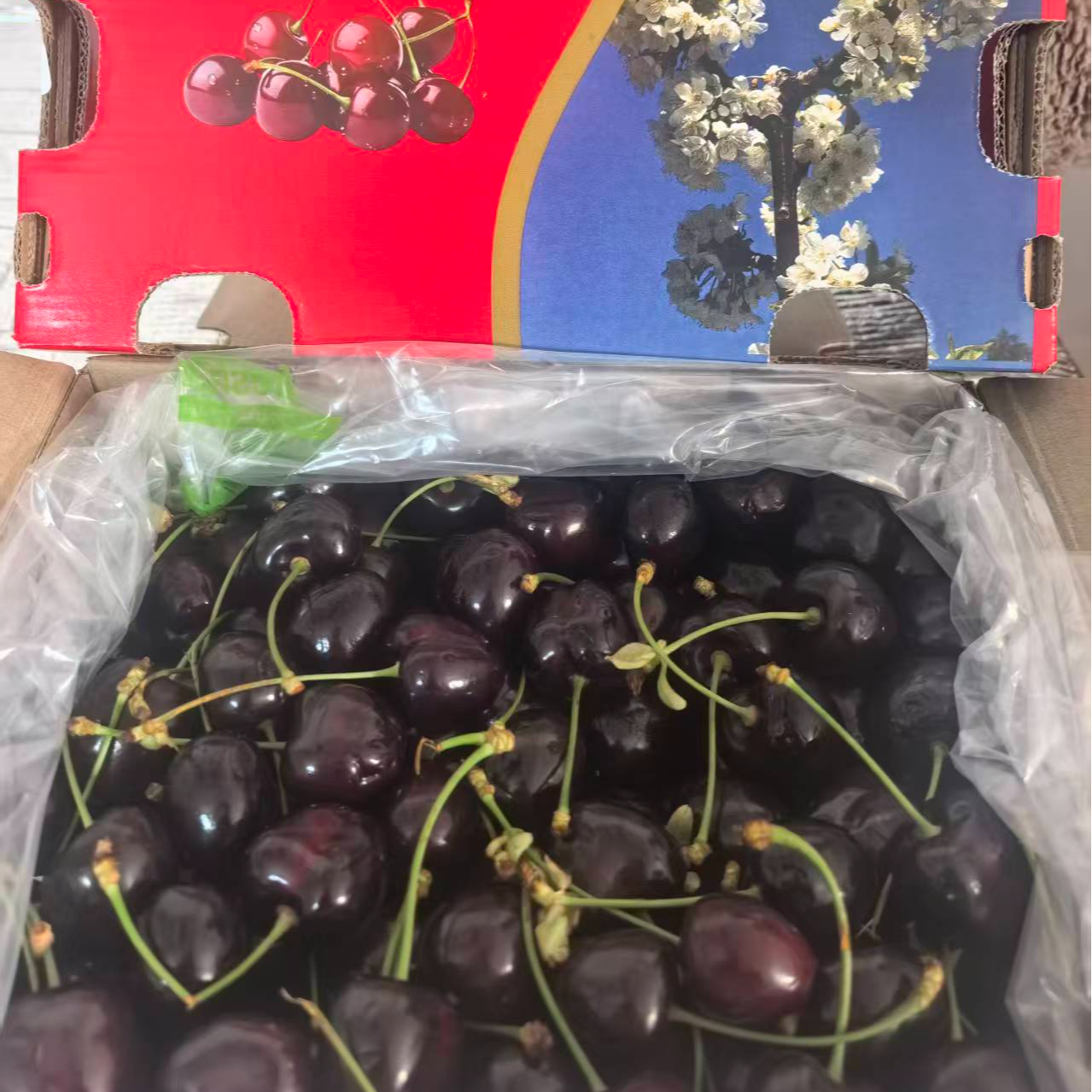 顺丰空运包邮科迪亚，纯冰随机发货3J-4J5斤原件内附果径卡