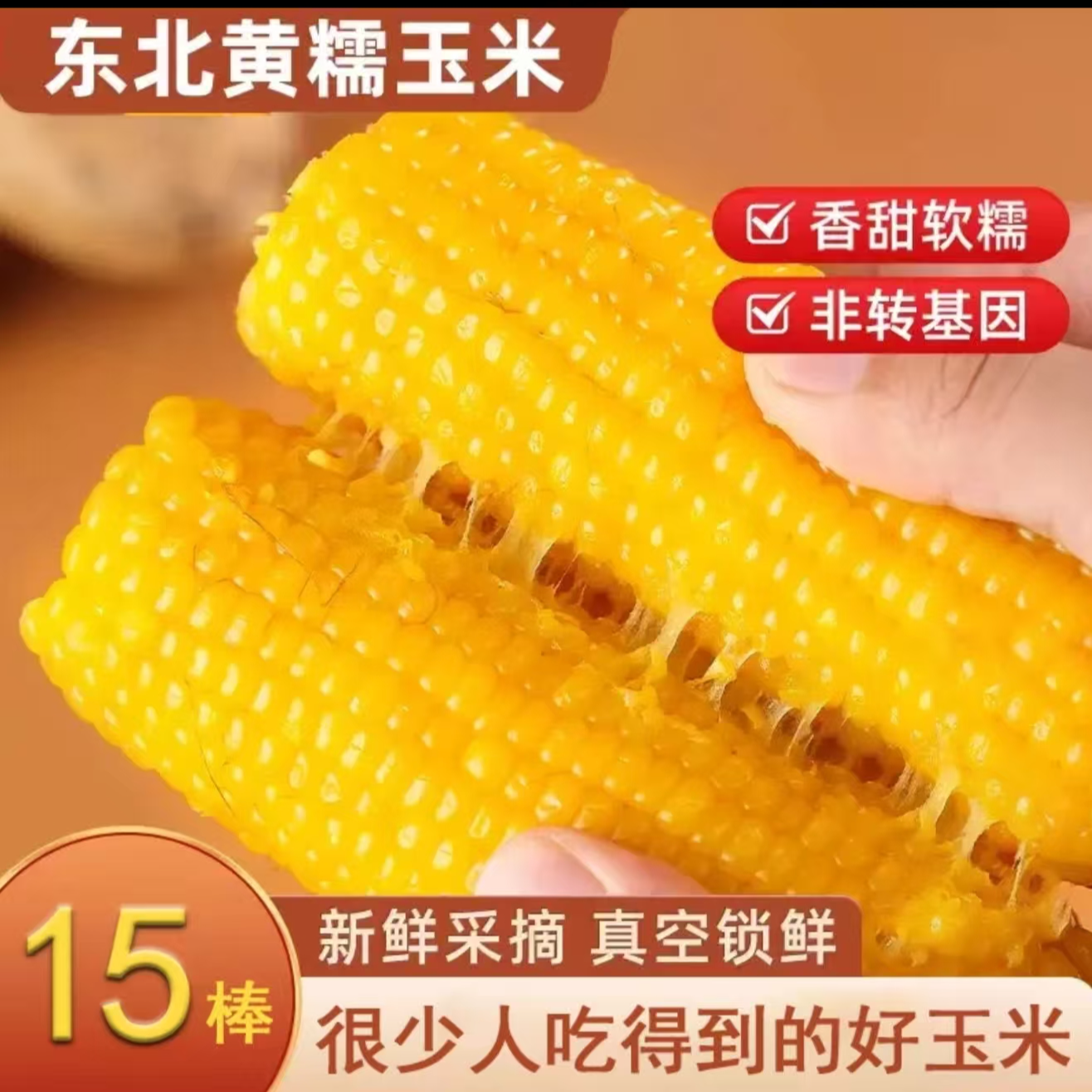 【整箱15根试吃4根】东北2025黄糯玉米真空锁鲜包装产地直发8斤左右