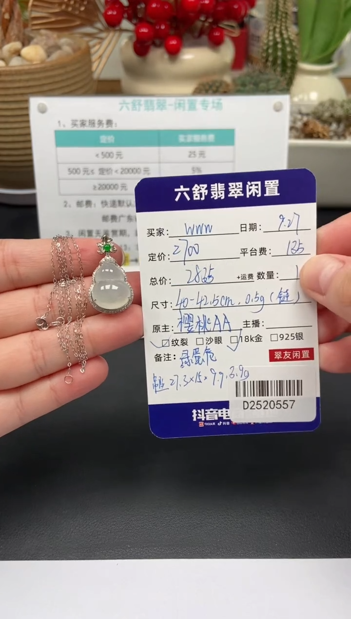 颈饰18K金镶嵌翡翠w*wD2520557
