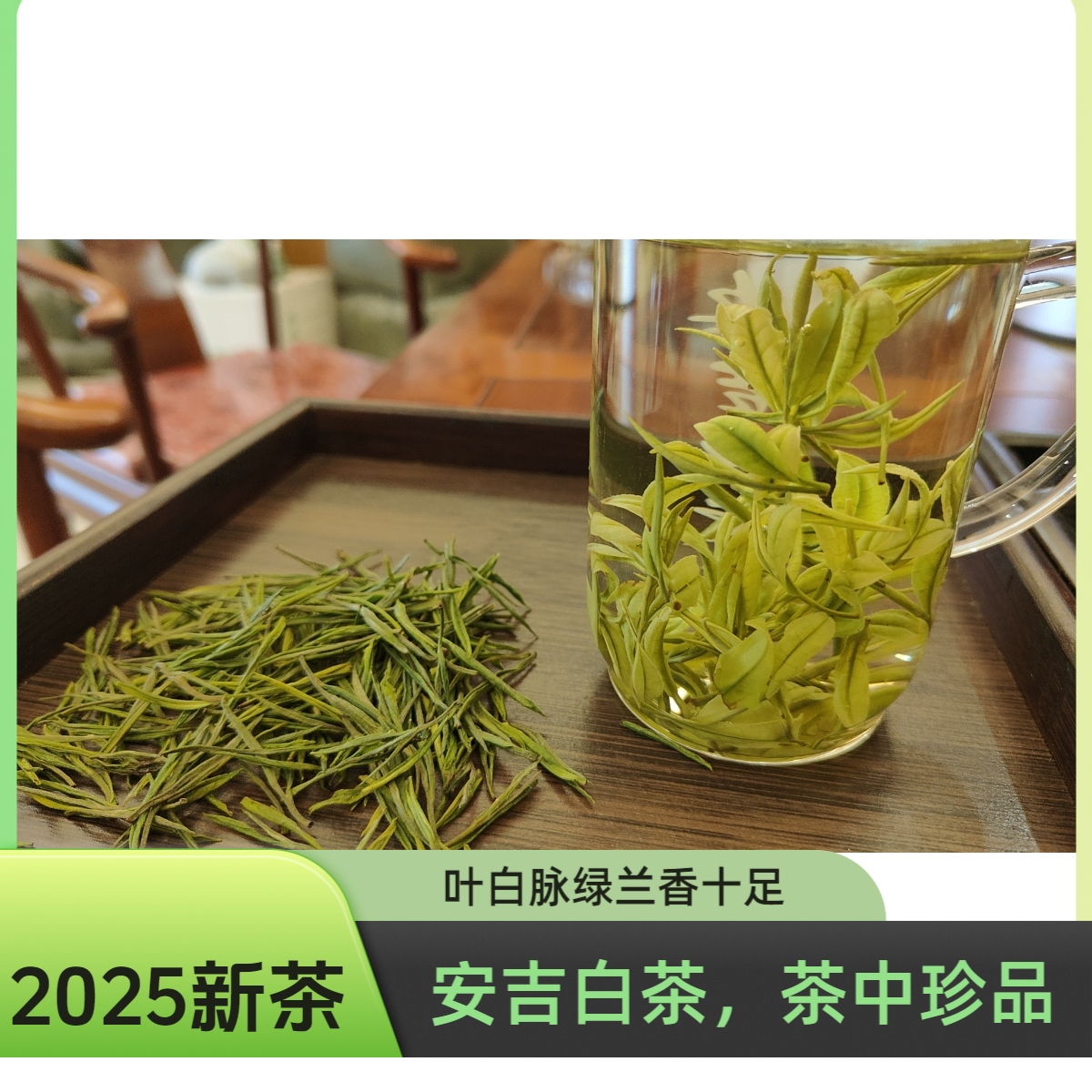 《国色天香》2025新茶溪龙核心产区安吉白茶明前新茶超高白化度