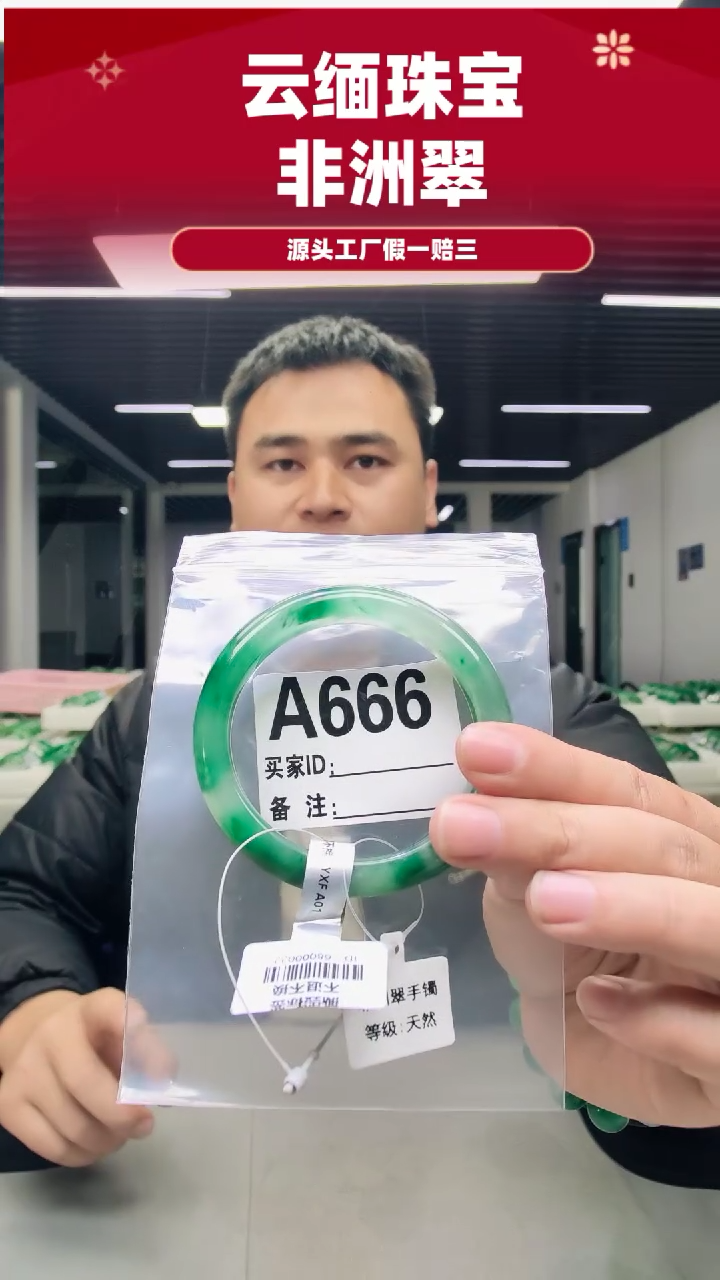 未镶嵌手镯石英质玉（非洲翠）58圈口A666