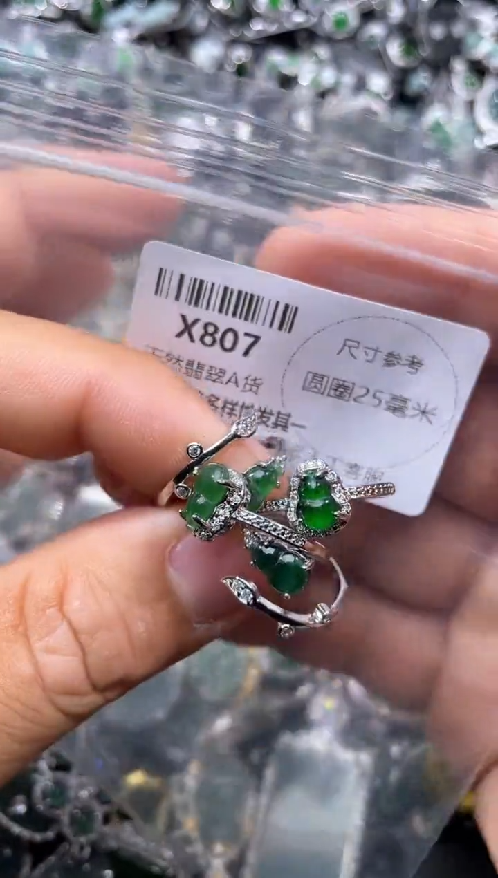 【闪购商品】翡翠颈饰未镶嵌X807戒指 多样性发其一