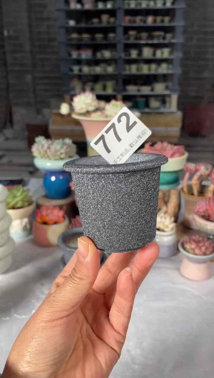 瓷片772小芳直播编号