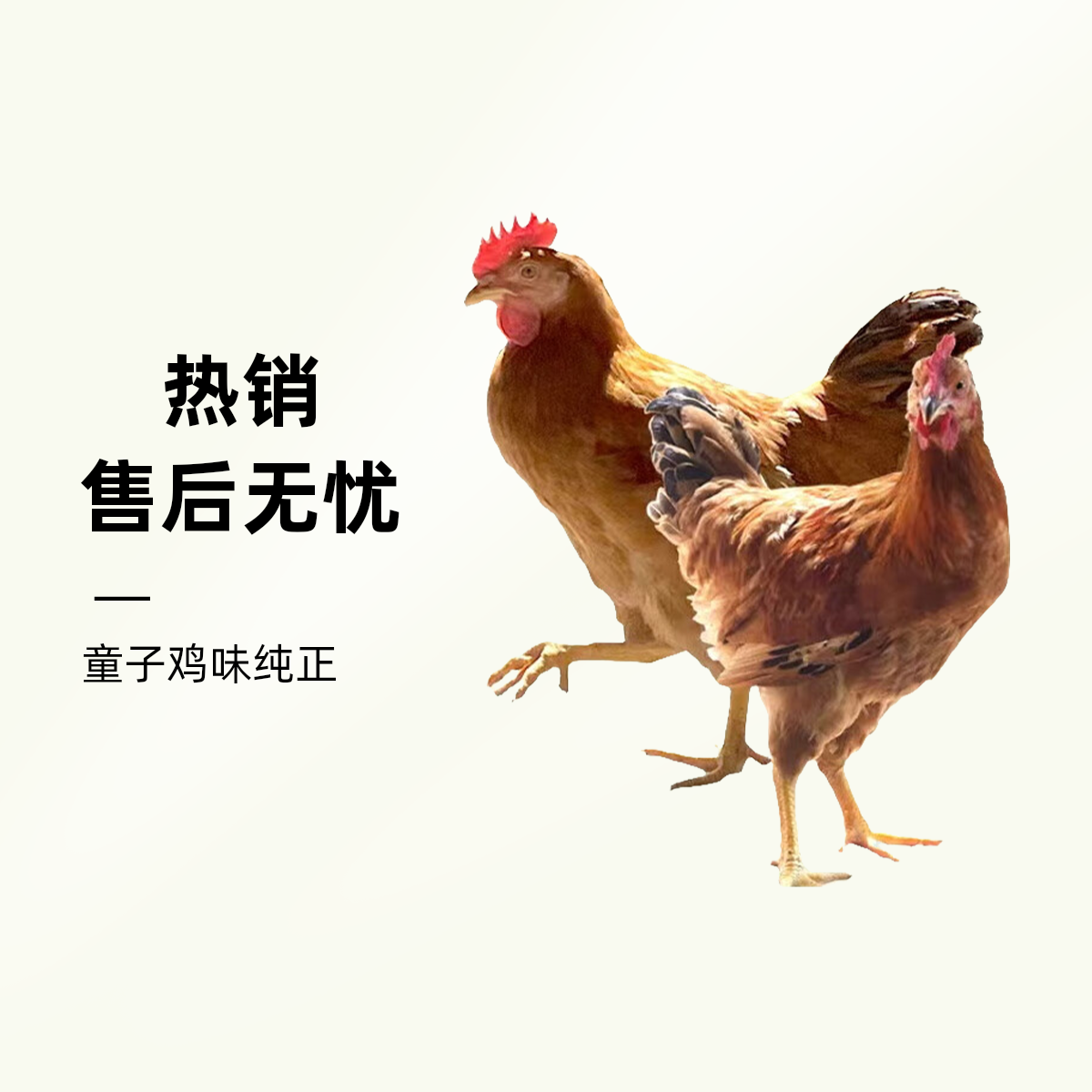 兀兀农场 林下散养童子鸡 3只装