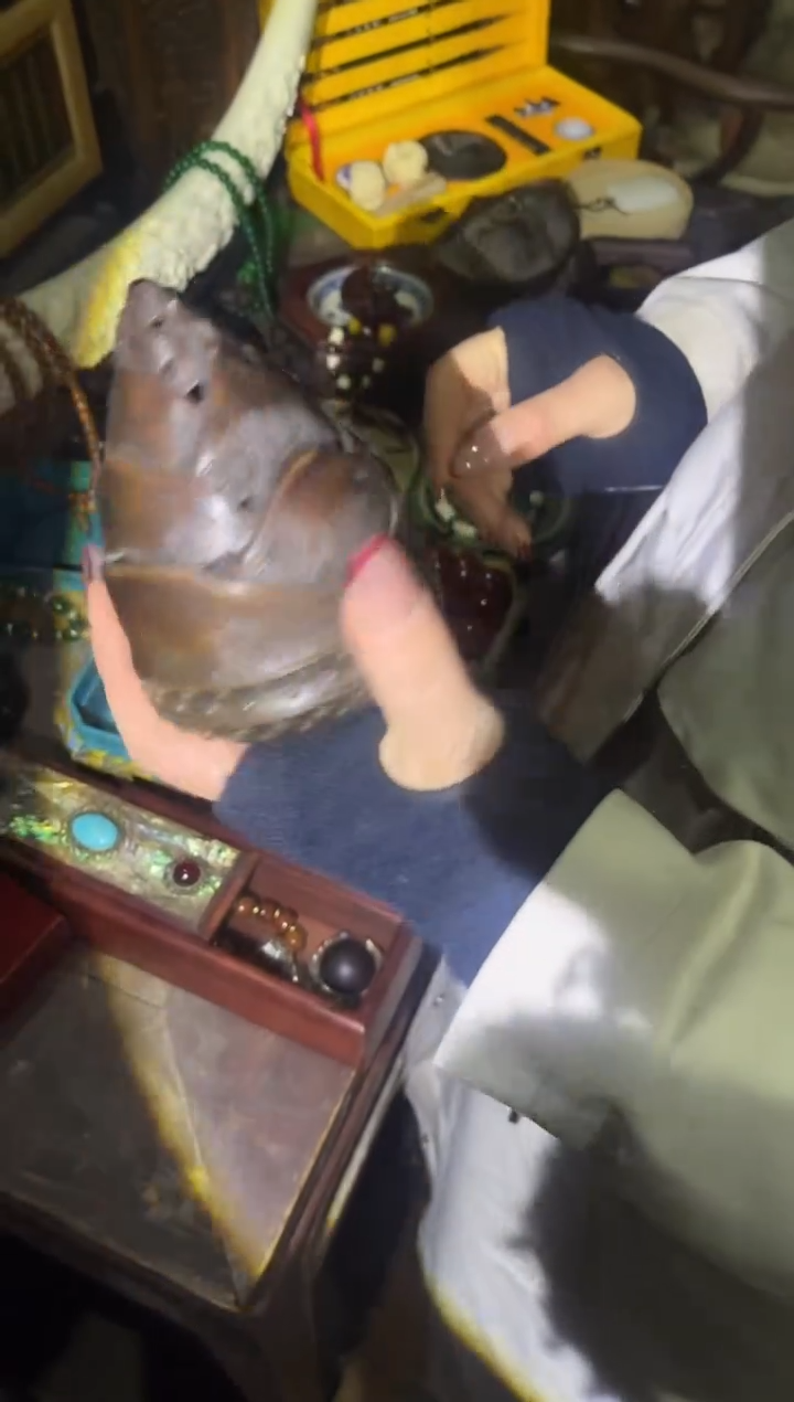 【闪购商品】42合合合合合合合合