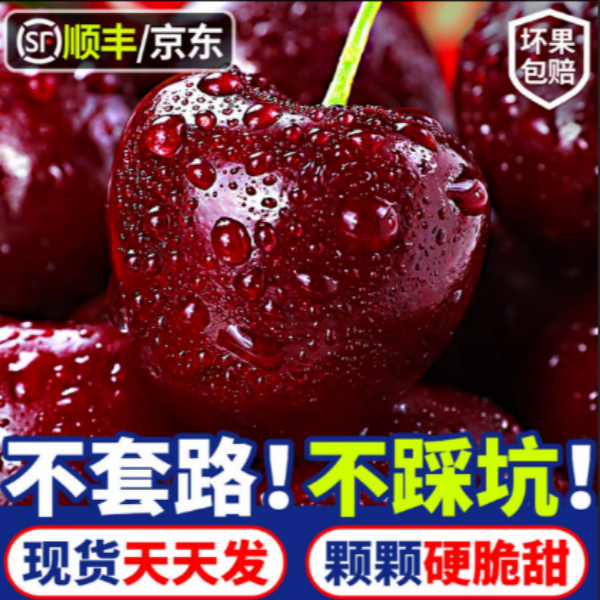 4JD【顺丰京东】5斤智利空运进口车厘子新鲜水果内附果径卡桑提娜D