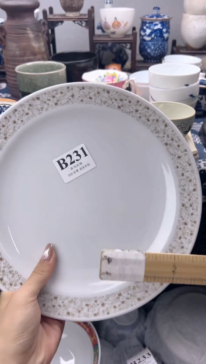 瓷片天*?   B231