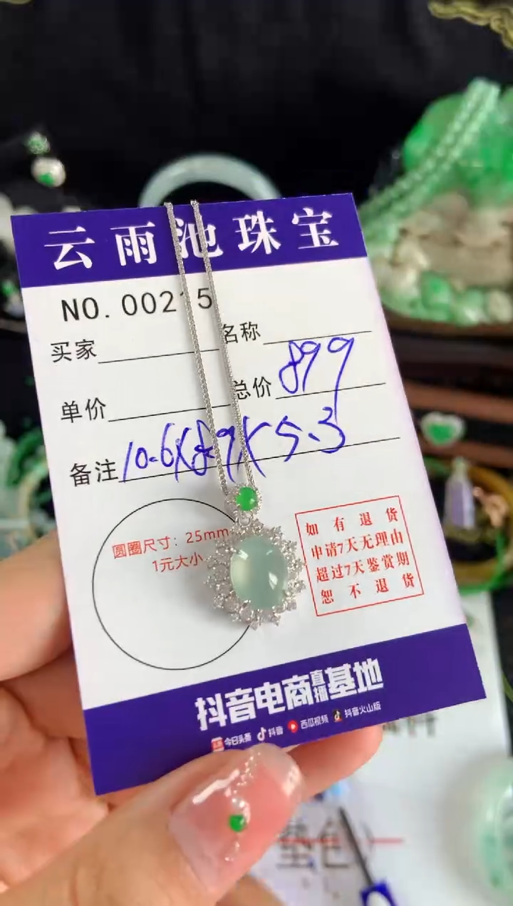 【闪购商品】翡翠颈饰银S925镶嵌翡翠