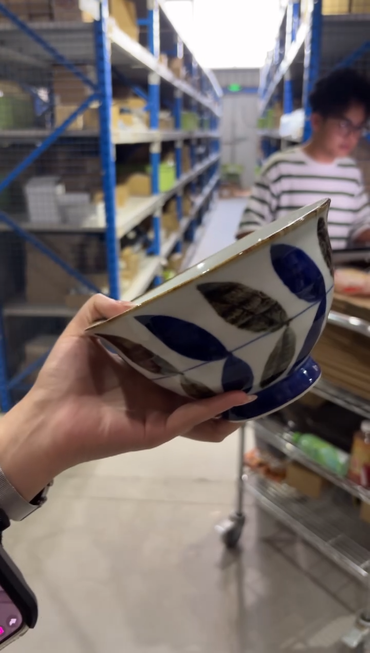 玻璃纸藤蔓 大面碗藤蔓 大面碗