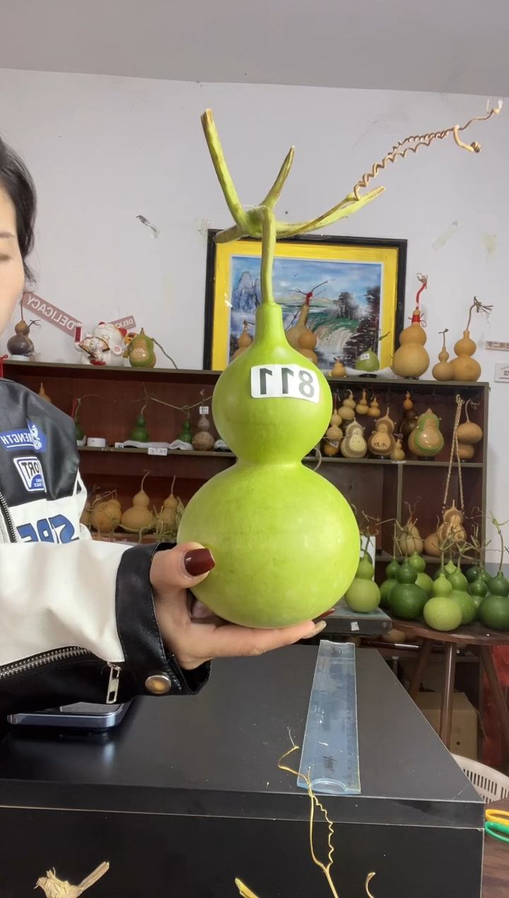 ?811天然葫芦摆件 一物一拍龙头不保售后