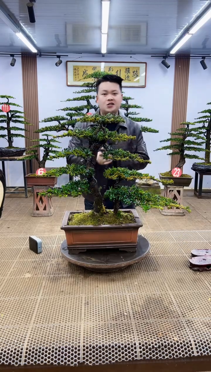 【闪购商品】0000000