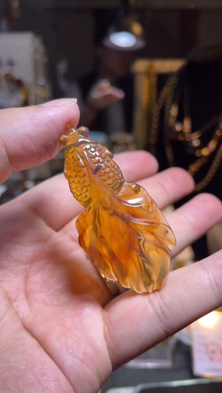 裸石琥珀未镶嵌金棕珀 小金鱼