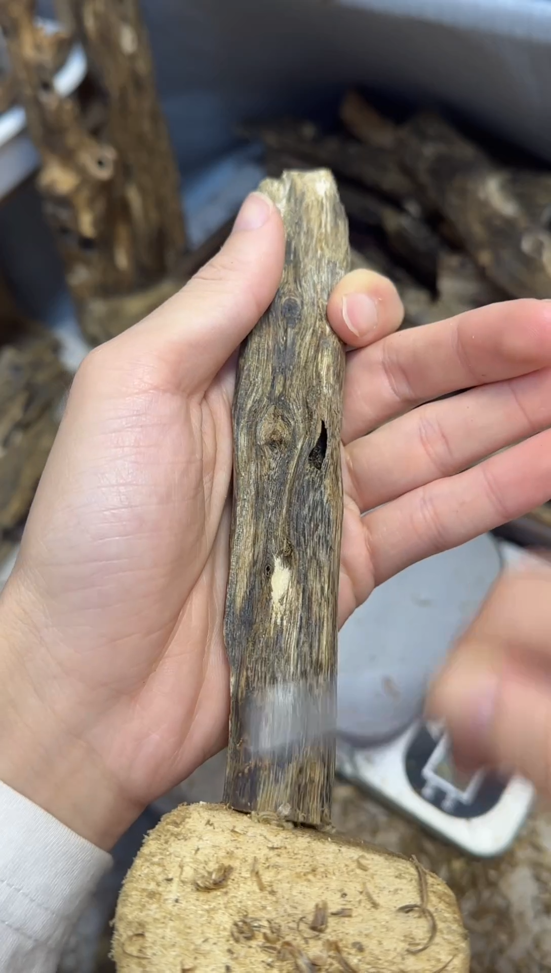 沉香沉香碎屑绿棋楠