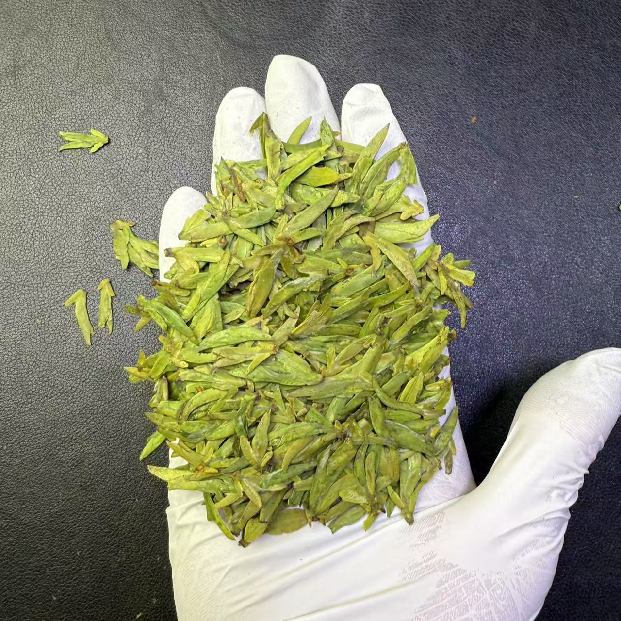 【2025乌牛早扁茶】豆香 头采新茶 明前春茶扁茶 绿茶