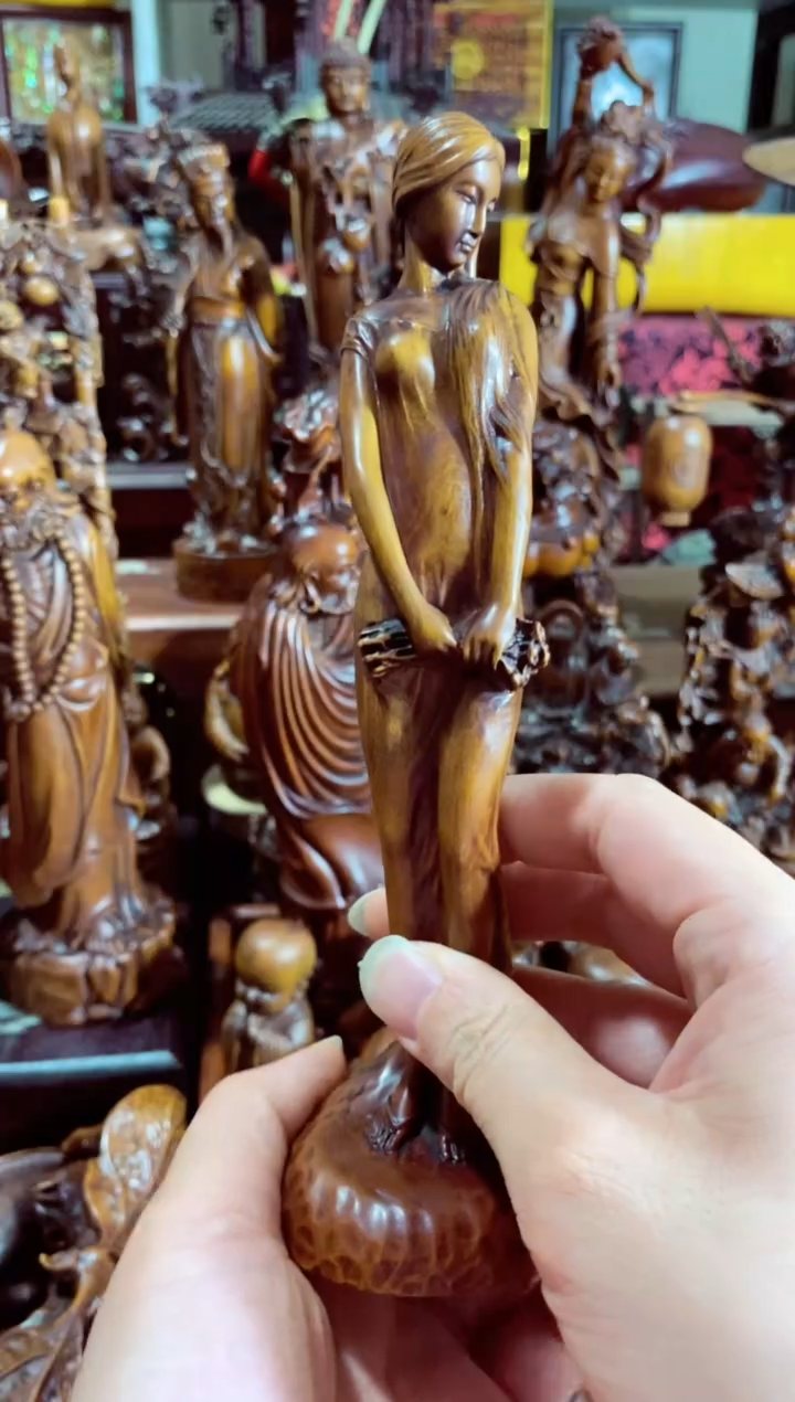 【闪购商品】木小叶黄杨精美礼品