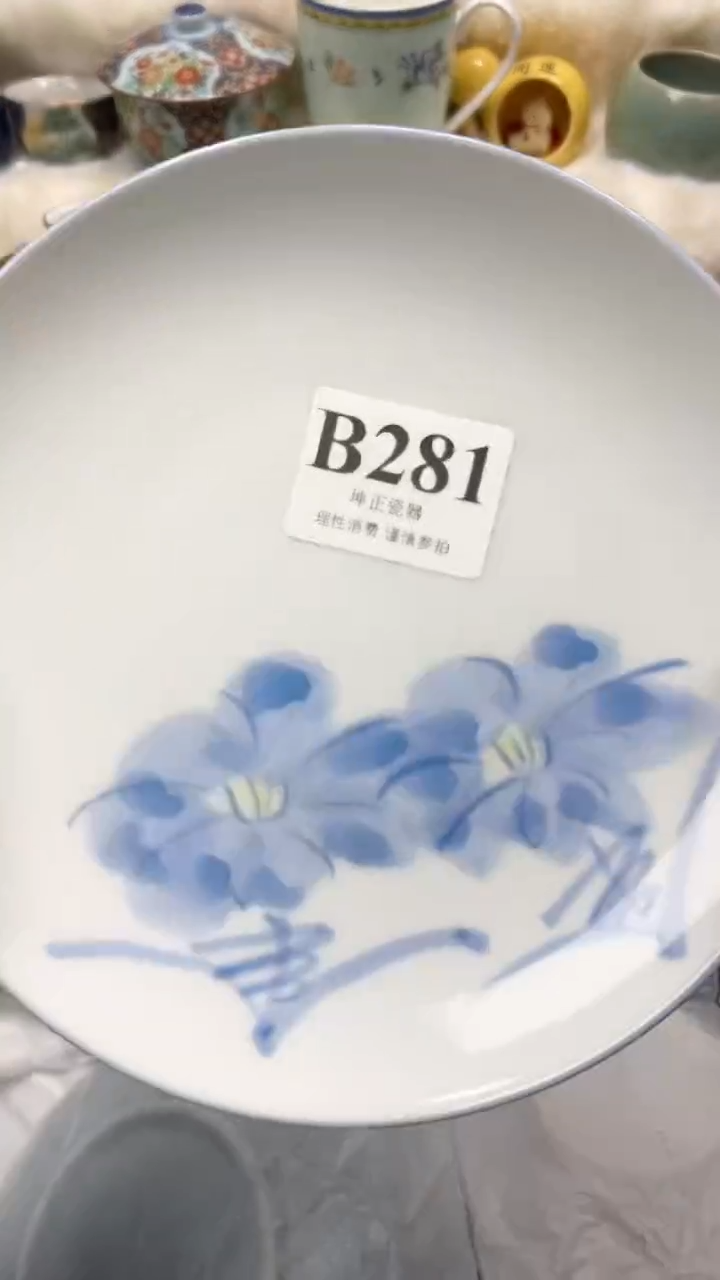 【闪购商品】瓷片          B281