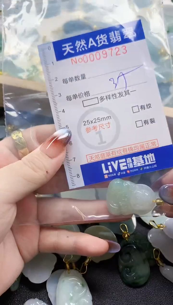 颈饰未镶嵌翡翠淄****家天然A货翡翠