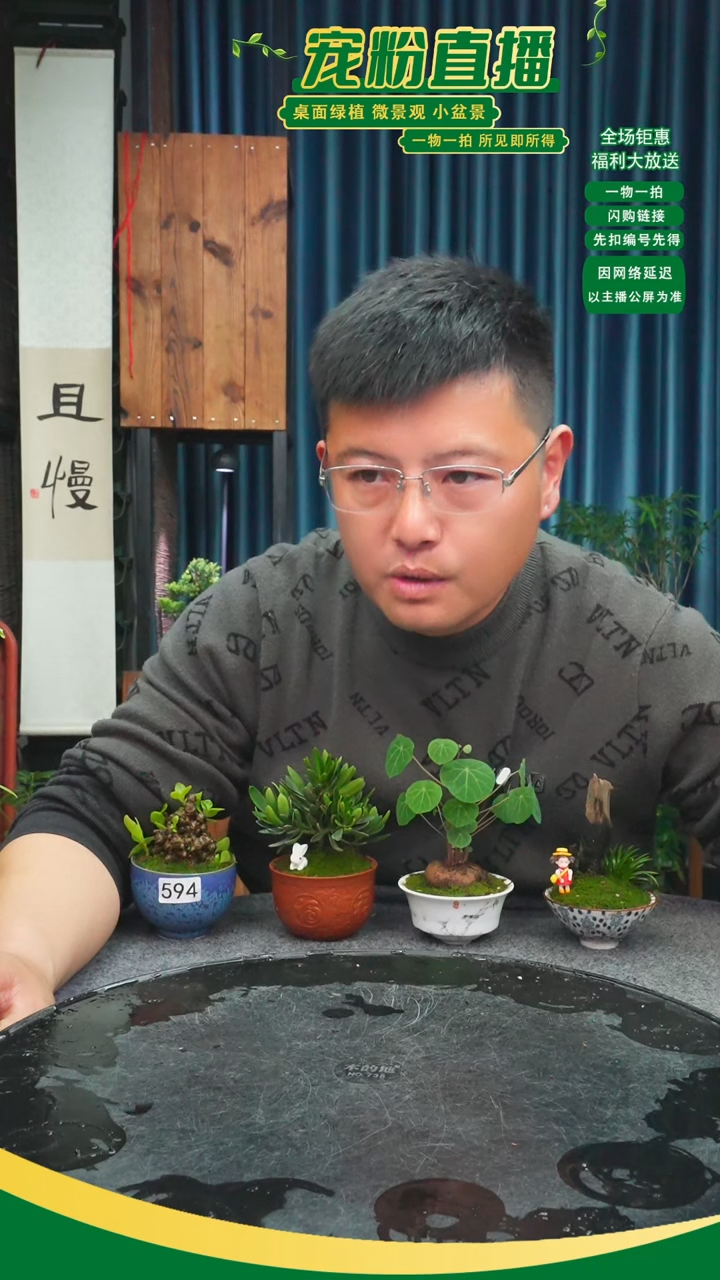 无花朵苏****)苔藓微景观594号