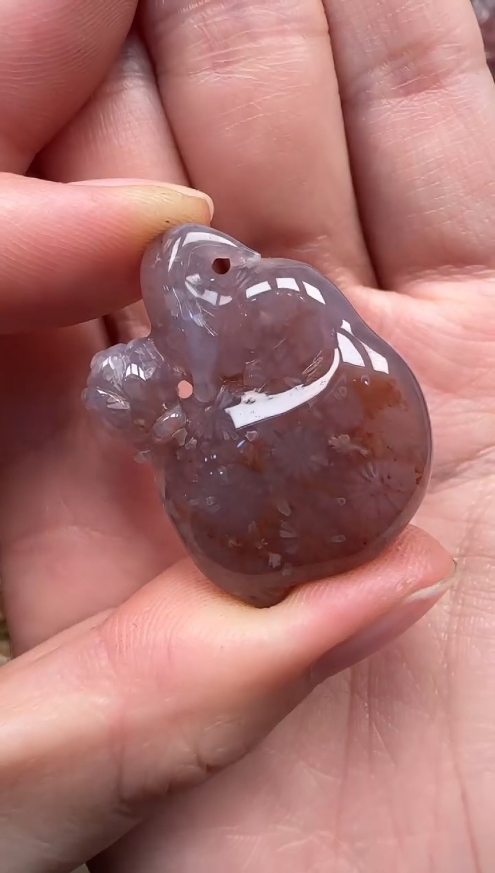 颈饰未镶嵌硅化珊瑚（珊瑚玉）369