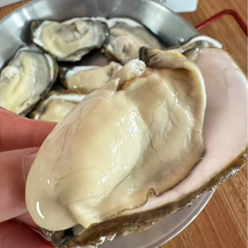 猕猴桃+生蚝3斤组合套餐组合