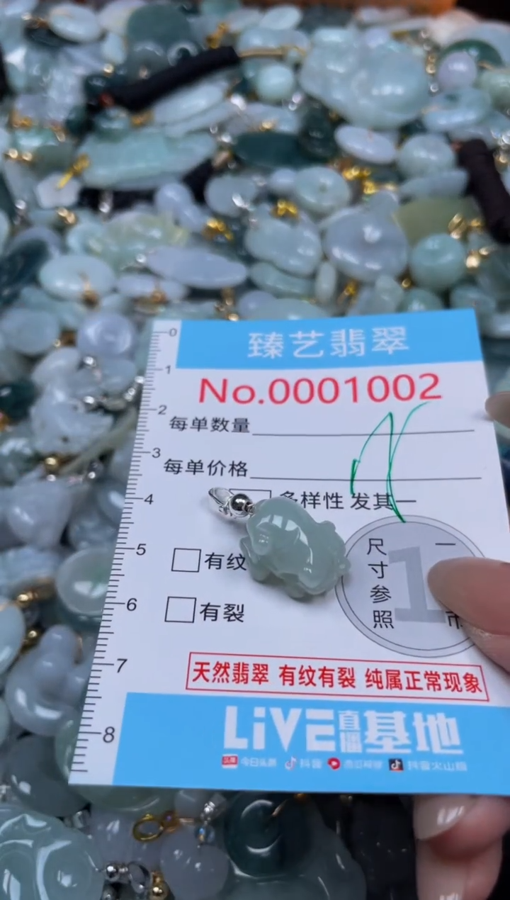 颈饰未镶嵌翡翠1002