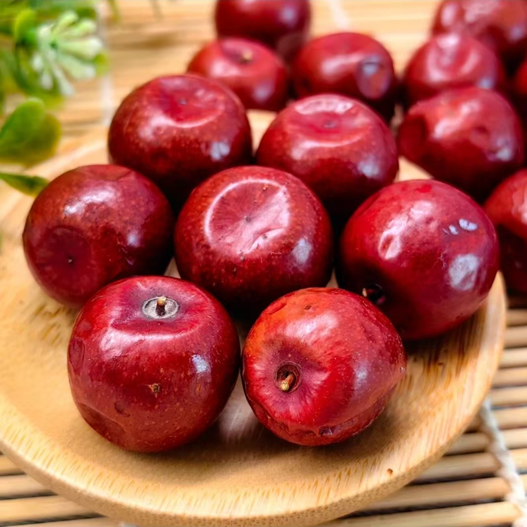 【陕北二哥】陕北野生酸枣