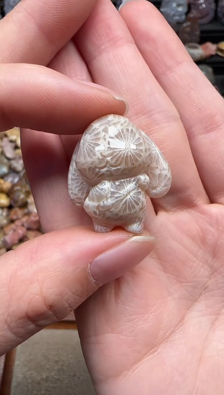 颈饰未镶嵌硅化珊瑚（珊瑚玉）203