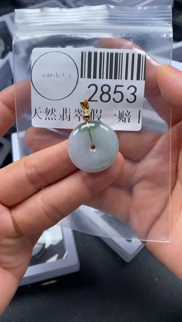 吊坠(不含链)未镶嵌翡翠2853