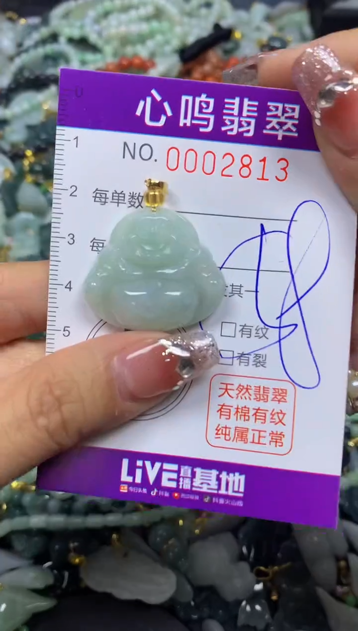 【闪购商品】翡翠颈饰未镶嵌闪购002813