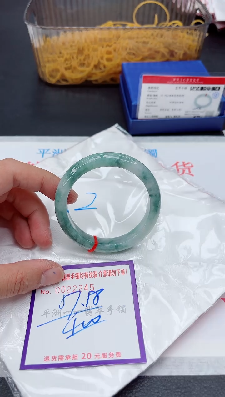 未镶嵌手镯翡翠1