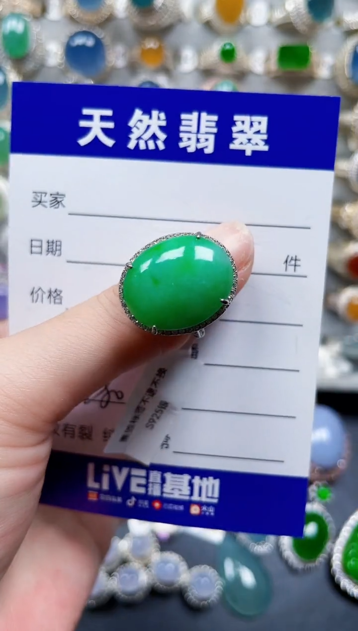 颈饰银S925镶嵌翡翠380