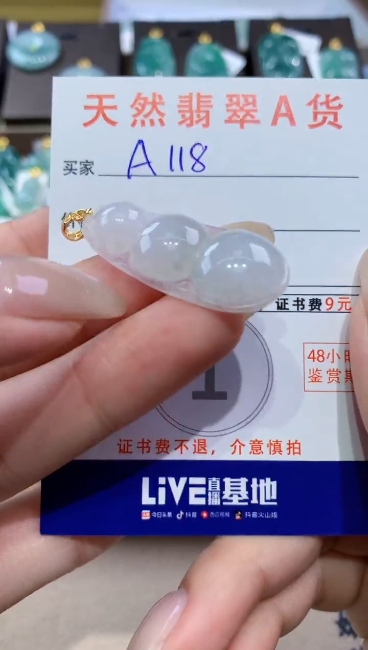 颈饰未镶嵌翡翠天然缅甸翡翠A货挂件 