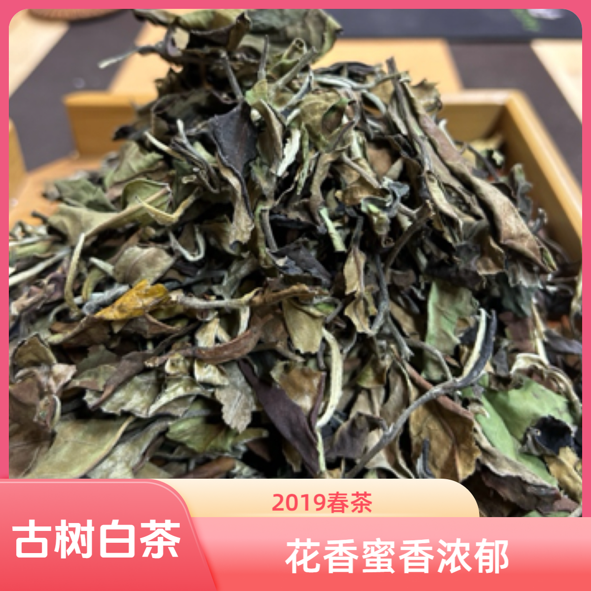 2019年邦东花香蜜香古树白茶
