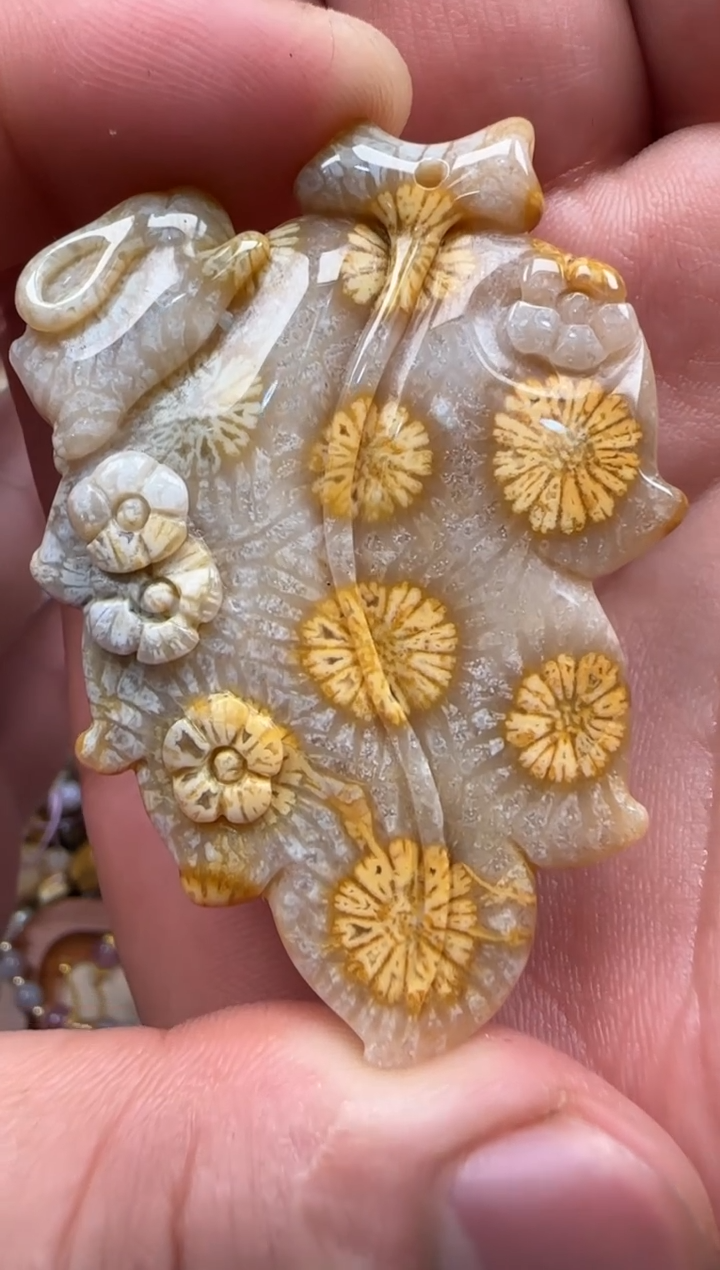 【闪购商品】硅化珊瑚（珊瑚玉）颈饰未镶嵌109