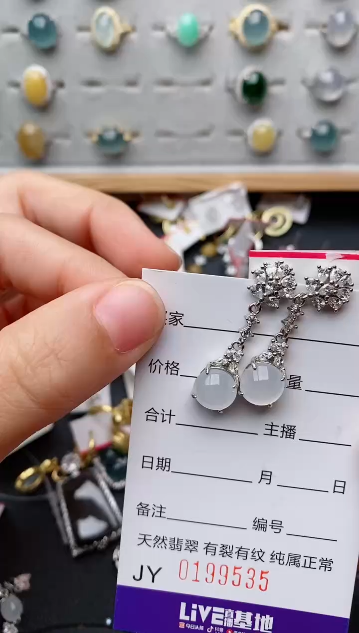翡翠银S925镶嵌颈饰.