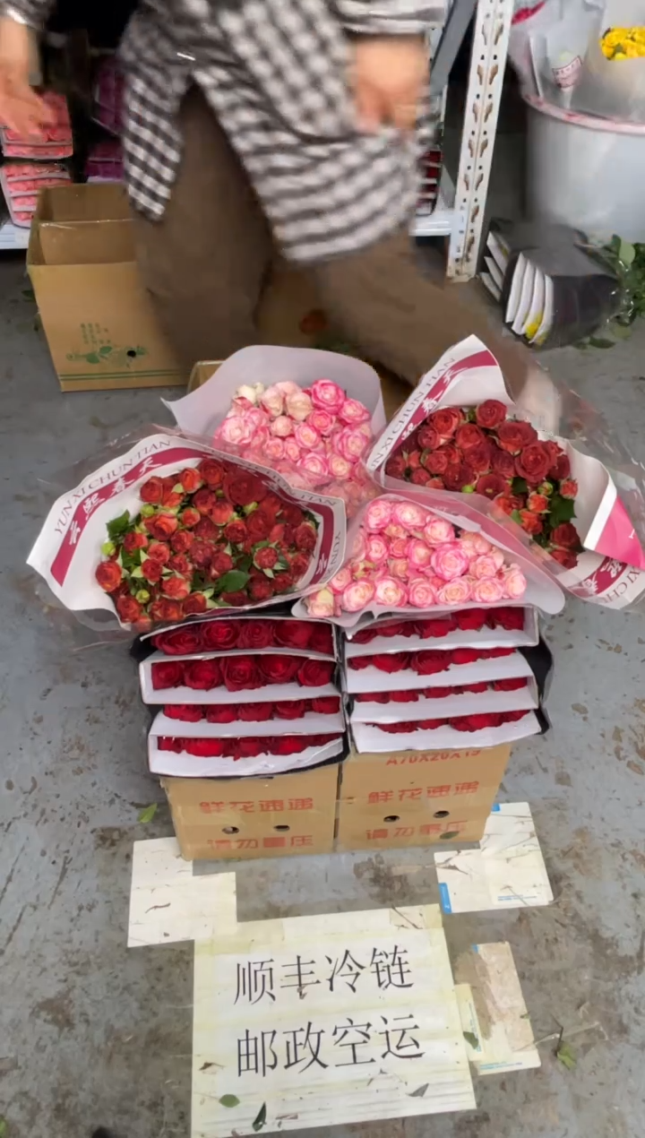 高原红20枝+巧克力10枝+折射10枝