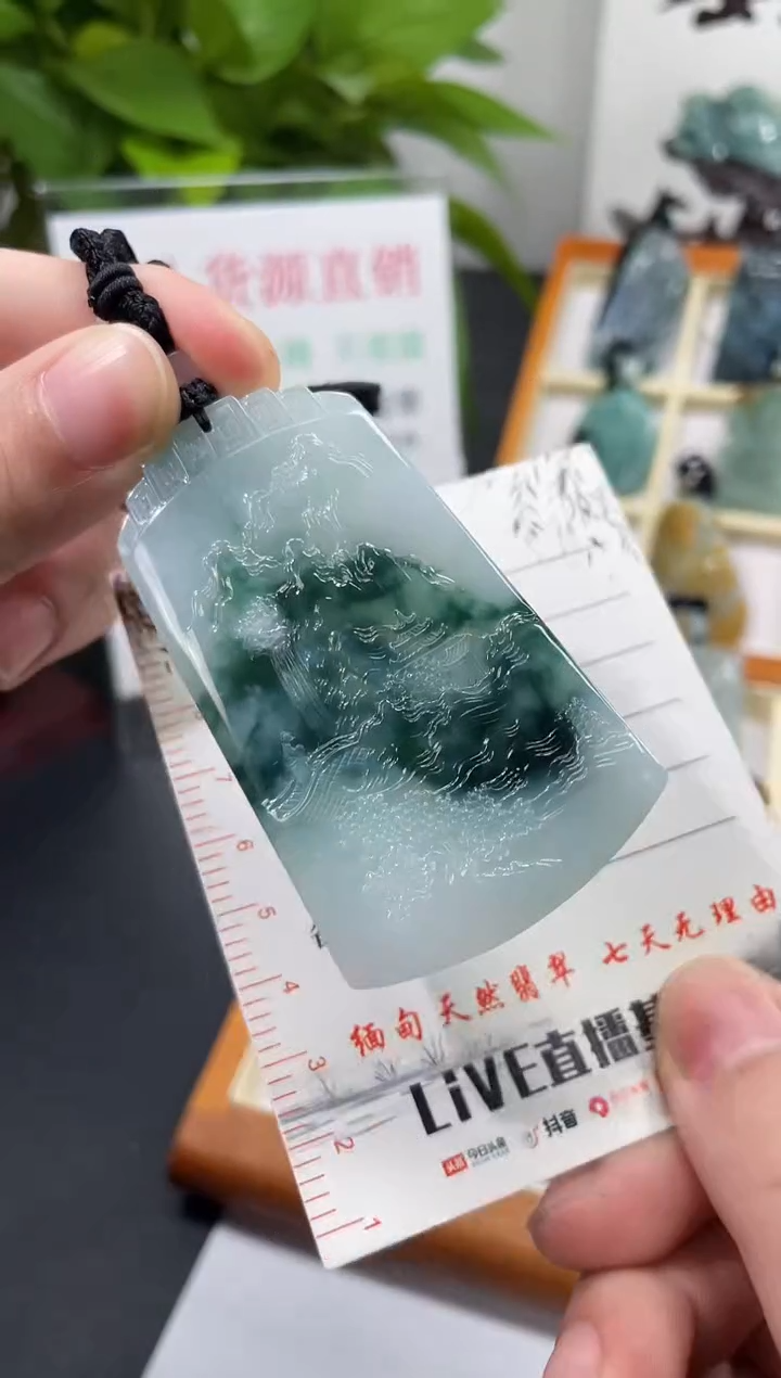 【闪购商品】翡翠颈饰未镶嵌山水